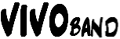 Vivo band