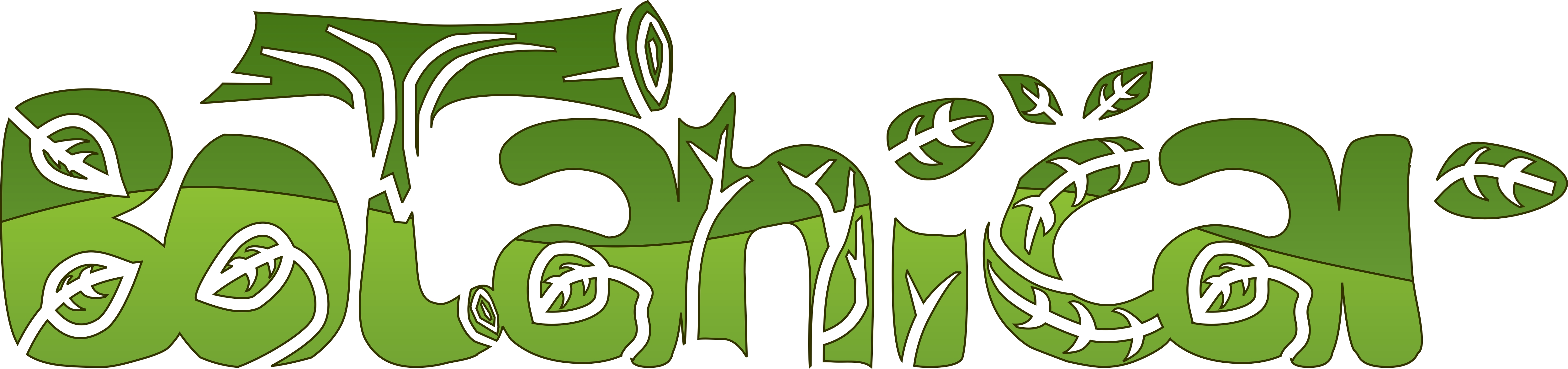 Evolve Design Studio