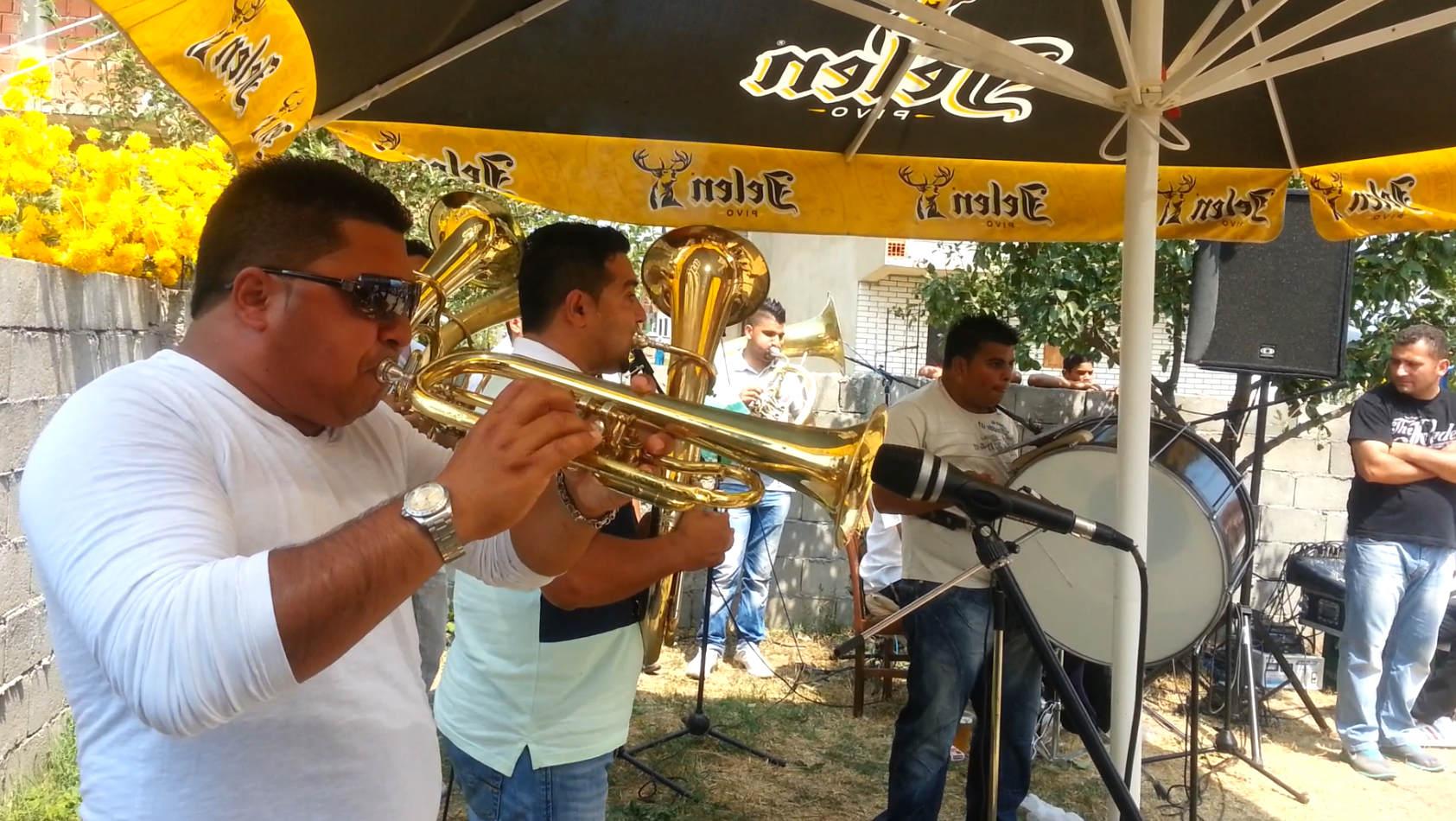 TRUBACI SUBOTICA 0612035009